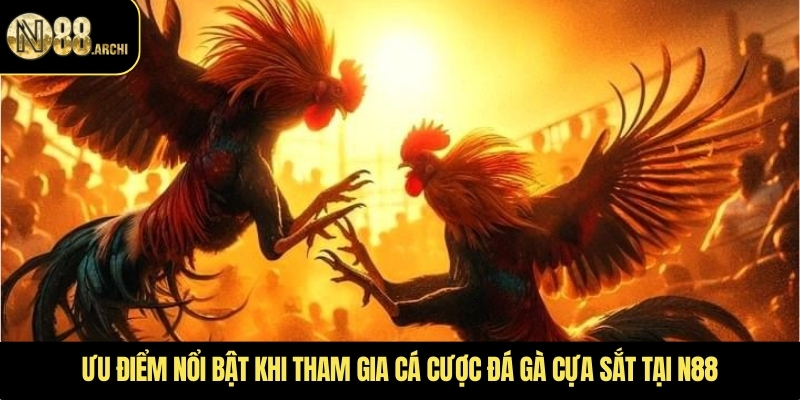 Ưu điểm nổi bật khi tham gia cá cược đá gà cựa sắt tại N88