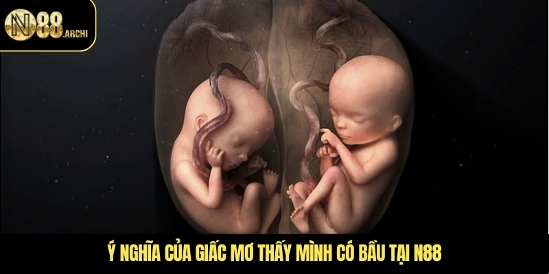 Ý nghĩa của giấc mơ thấy mình có bầu tại N88