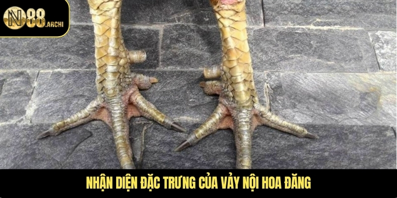 Nhận diện đặc trưng của vảy nội hoa đăng